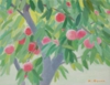 桃の木立　１０P.jpg